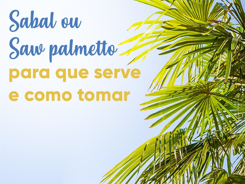Sabal ou Saw palmetto: para que serve e como tomar